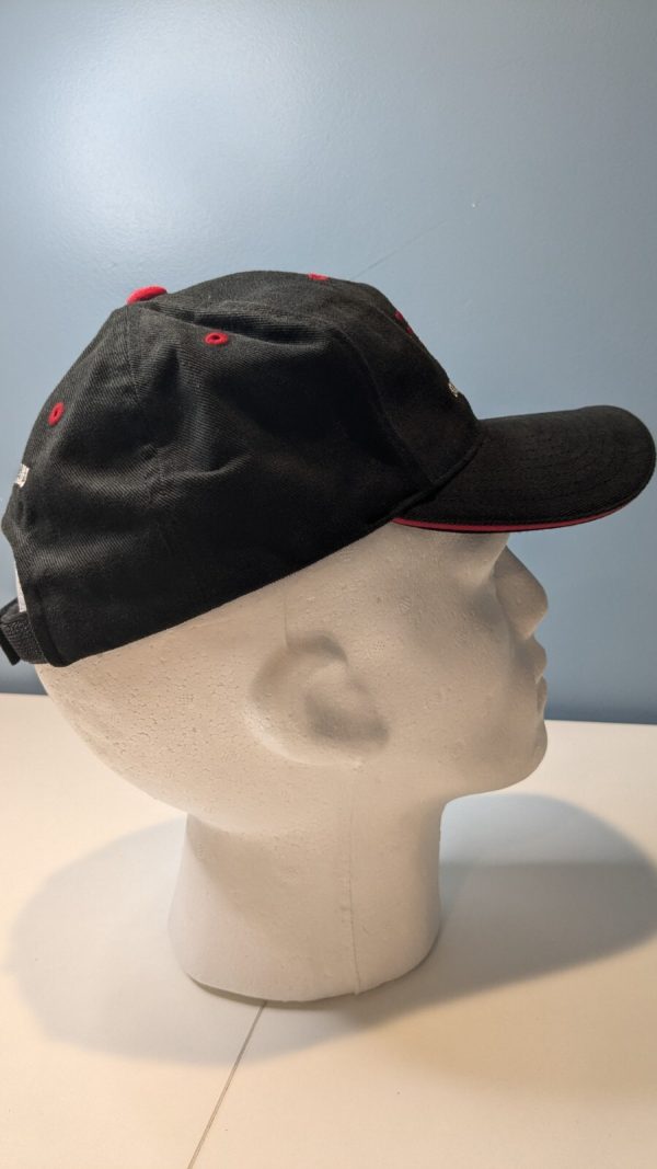 Brink Truck Lines, LLC Black Soft Quality Strapback - Image 4