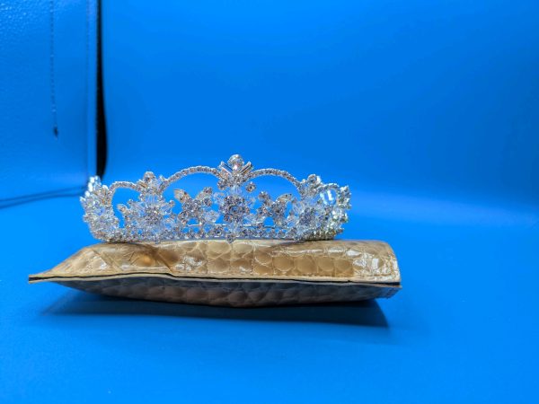 Davids Bridal Crystal Bride Tiara Sparkly Beautiful - Image 7